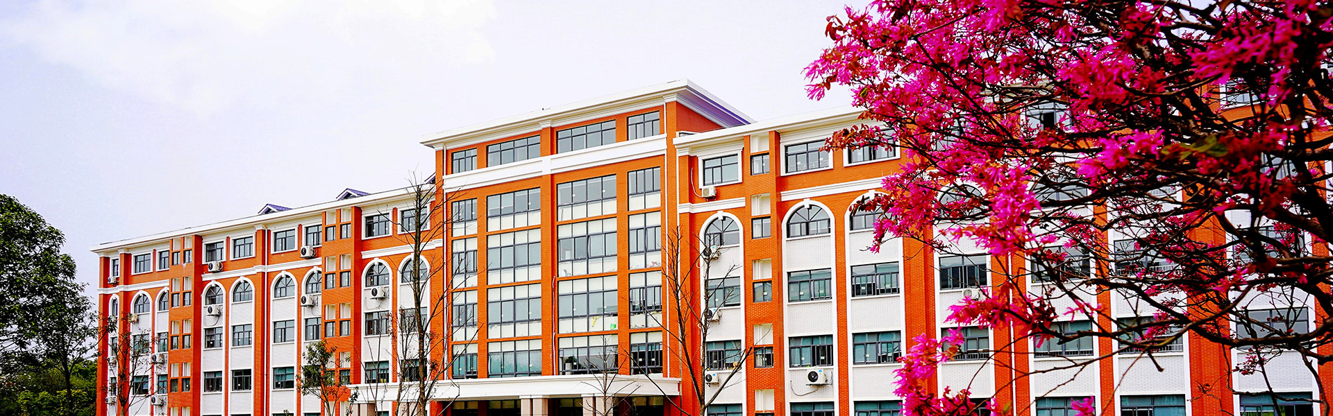 鸿运国际·(中国)最新官方网站