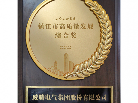 喜讯│NG官网荣获2024年度镇江市高质量发展综合奖