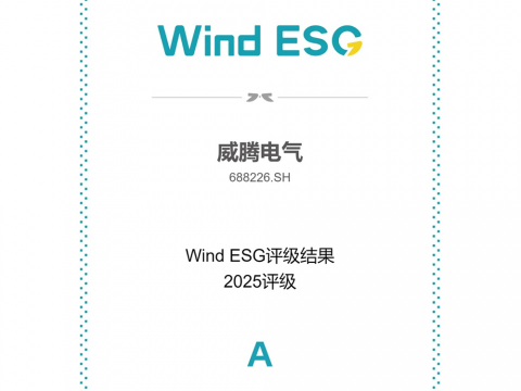 NG官网电气Wind ESG评级由BBB跃升至A级