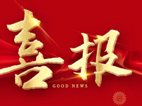 NG官网电气荣膺江苏省制造业领航企业